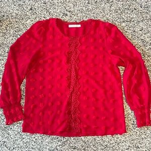 NWOT! Beautiful red blouse purchased at a local boutique